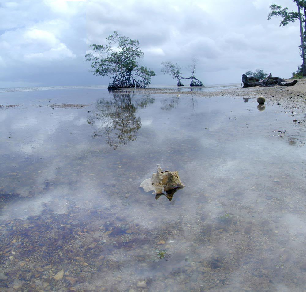 25lowtide.jpg